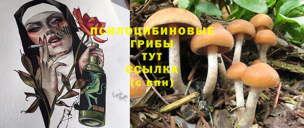 кокс Алексеевка