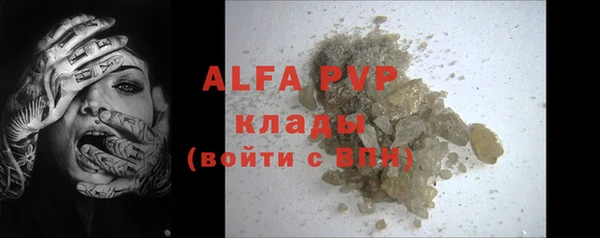 шишки Абаза
