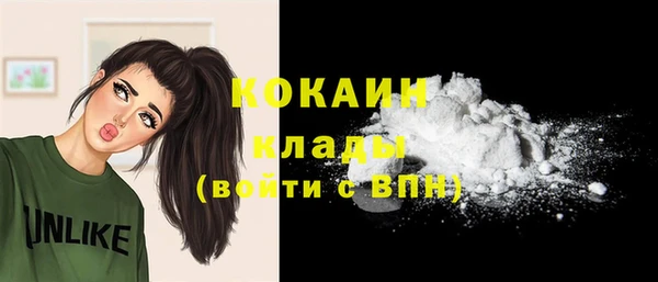 шишки Абаза