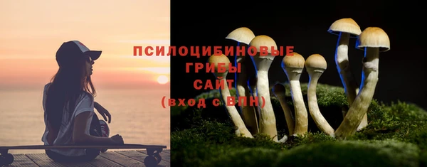 шишки Абаза
