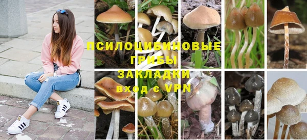 a pvp Абдулино