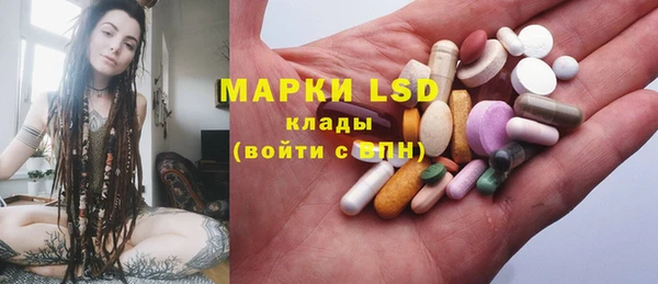 шишки Абаза