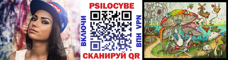 Псилоцибиновые грибы мицелий Темников